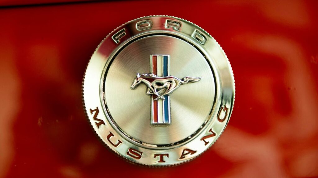 Networking and Building Connections: The Importance of Relationships