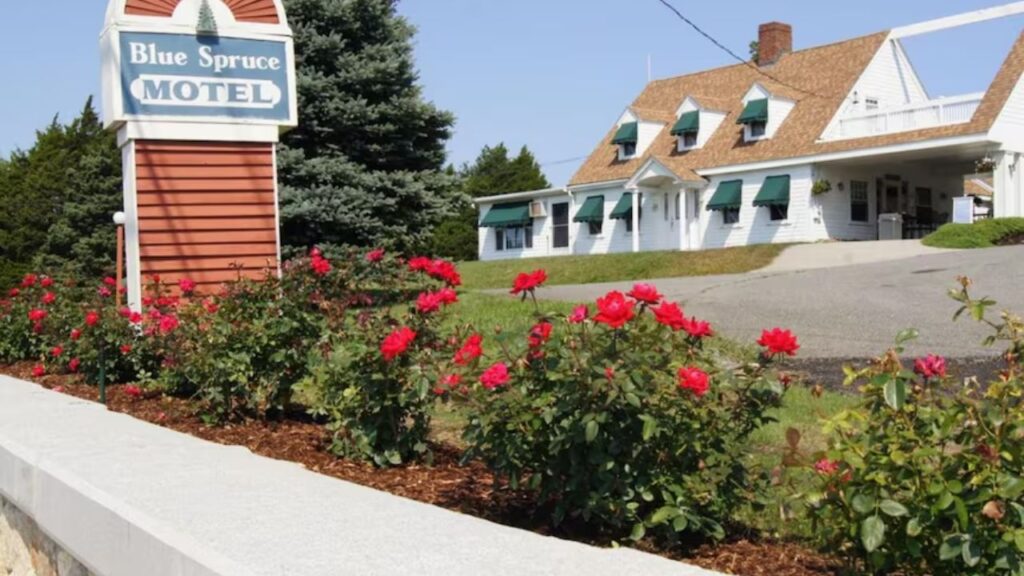 Year-Round Adventures Near Your Blue Spruce Accommodations