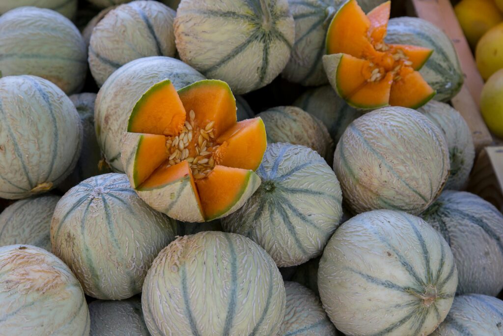 Ready to Fall in Love with Cantaloupe?